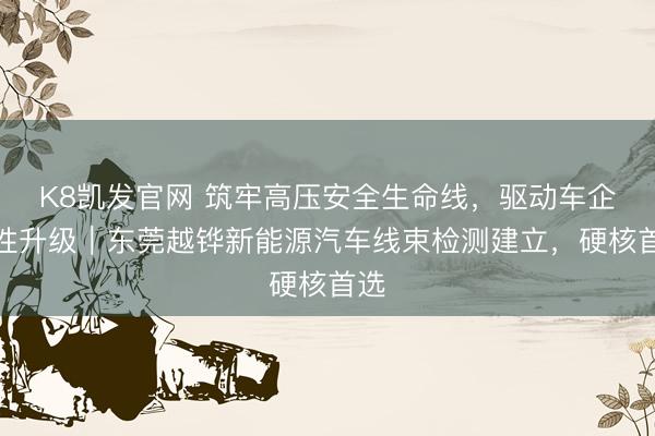 K8凯发官网 筑牢高压安全生命线,驱动车企品性升级|东莞越铧新能源汽车线束检测建立,硬核首选