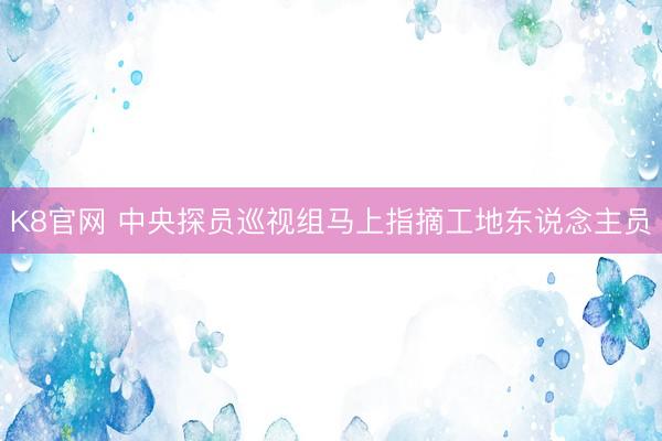 K8官网 中央探员巡视组马上指摘工地东说念主员