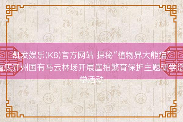 凯发娱乐(K8)官方网站 探秘“植物界大熊猫”! 重庆开州国有马云林场开展崖柏繁育保护主题研学活动