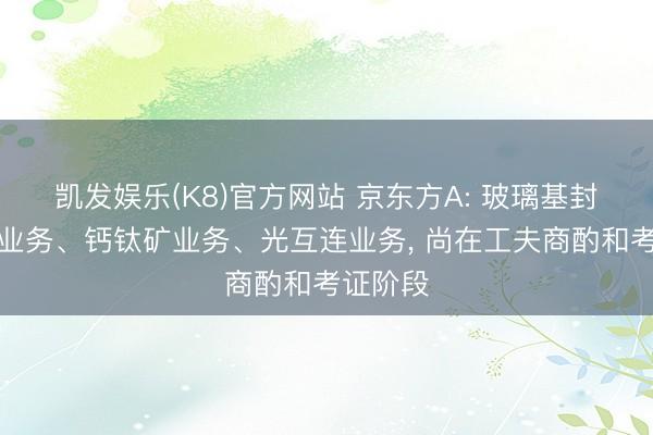 凯发娱乐(K8)官方网站 京东方A: 玻璃基封装载板业务、钙钛矿业务、光互连业务, 尚在工夫商酌和考证阶段