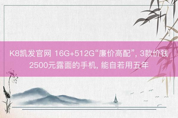 K8凯发官网 16G+512G“廉价高配”， 3款价钱2500元露面的手机， 能自若用五年