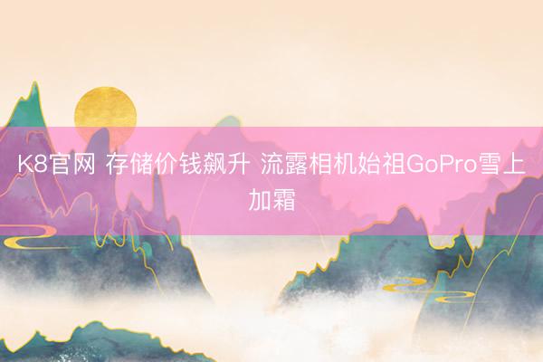 K8官网 存储价钱飙升 流露相机始祖GoPro雪上加霜