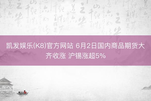 凯发娱乐(K8)官方网站 6月2日国内商品期货大齐收涨 沪锡涨超5%