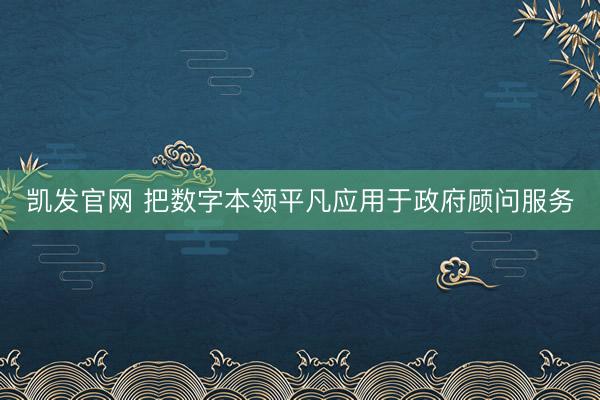 凯发官网 把数字本领平凡应用于政府顾问服务