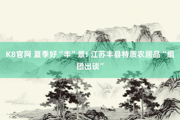 K8官网 夏季好“丰”景! 江苏丰县特质农居品“组团出谈”