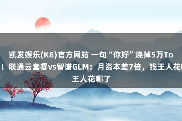 凯发娱乐(K8)官方网站 一句“你好”烧掉5万Token！联通云套餐vs智谱GLM：月资本差7倍，钱王人花哪了