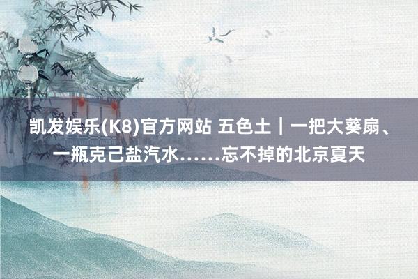 凯发娱乐(K8)官方网站 五色土|一把大葵扇、一瓶克己盐汽水……忘不掉的北京夏天